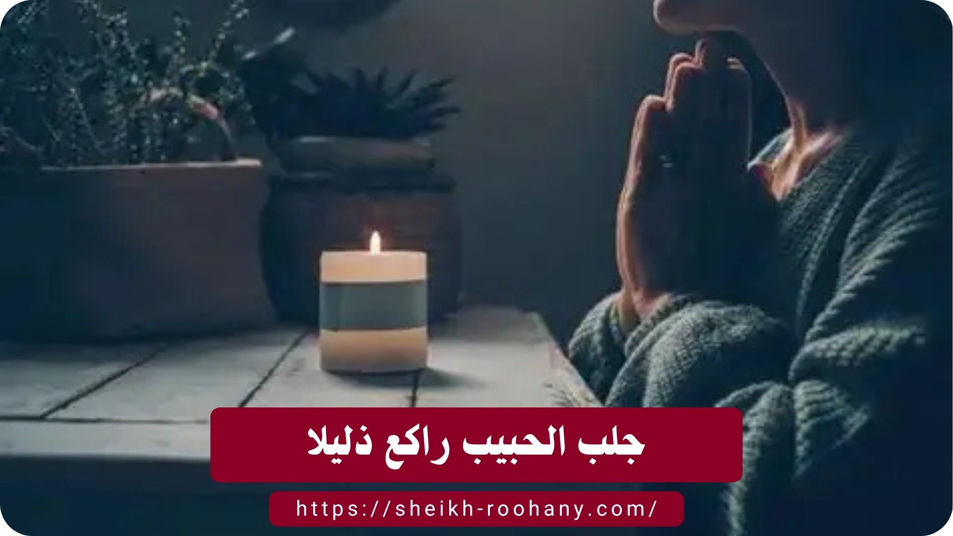 جلب الحبيب راكع ذليلا