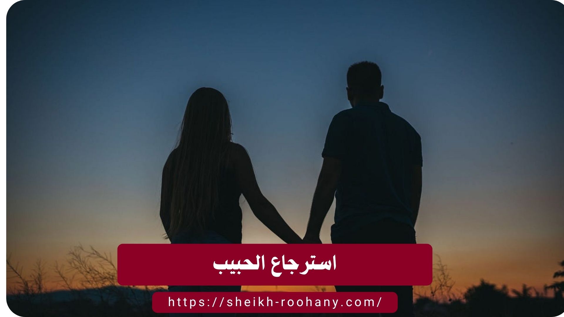 استرجاع الحبيب