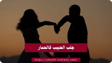 جلب الحبيب كالحمار