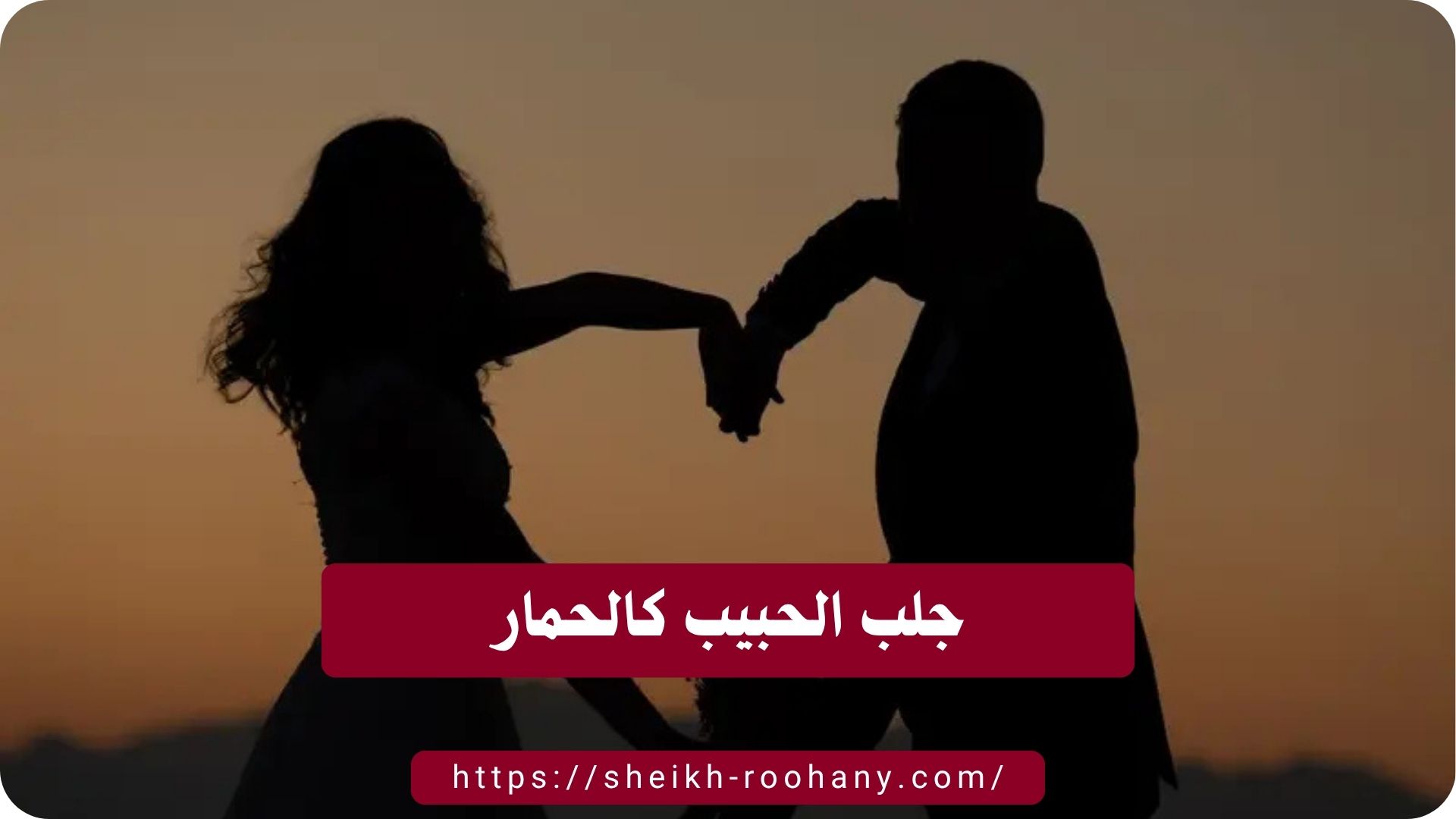 جلب الحبيب كالحمار