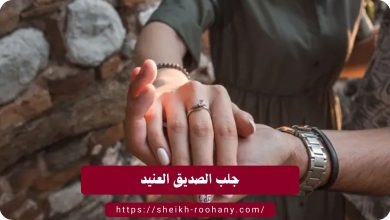 جلب الصديق العنيد