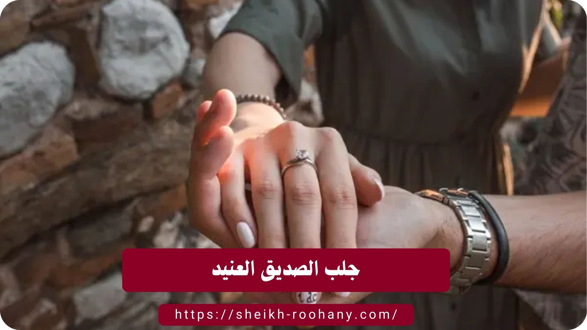 جلب الصديق العنيد