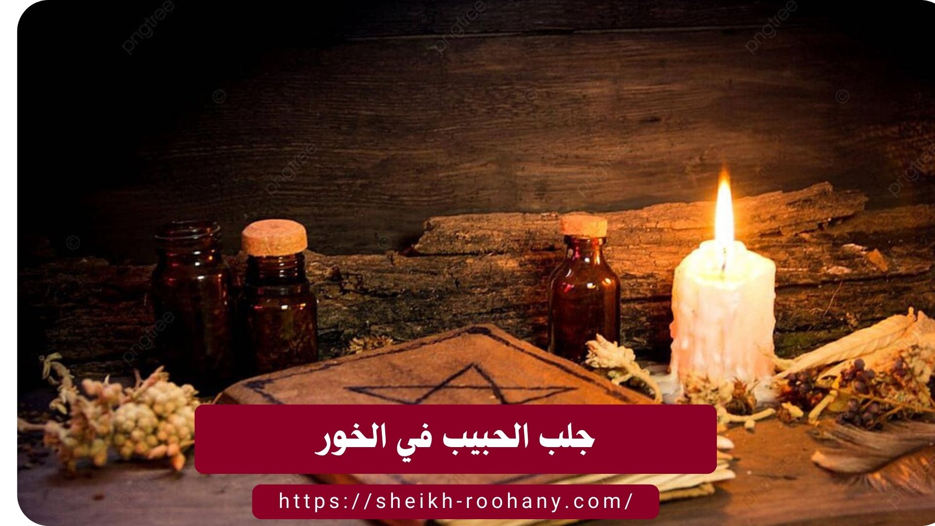 جلب الحبيب في الخور