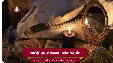 طريقة جلب الحبيب برقم الهاتف