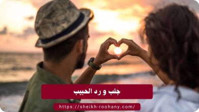 جلب و رد الحبيب