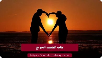 جلب الحبيب السريع