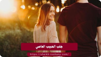 جلب الحبيب العاصي
