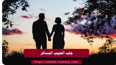 جلب الحبيب المسافر