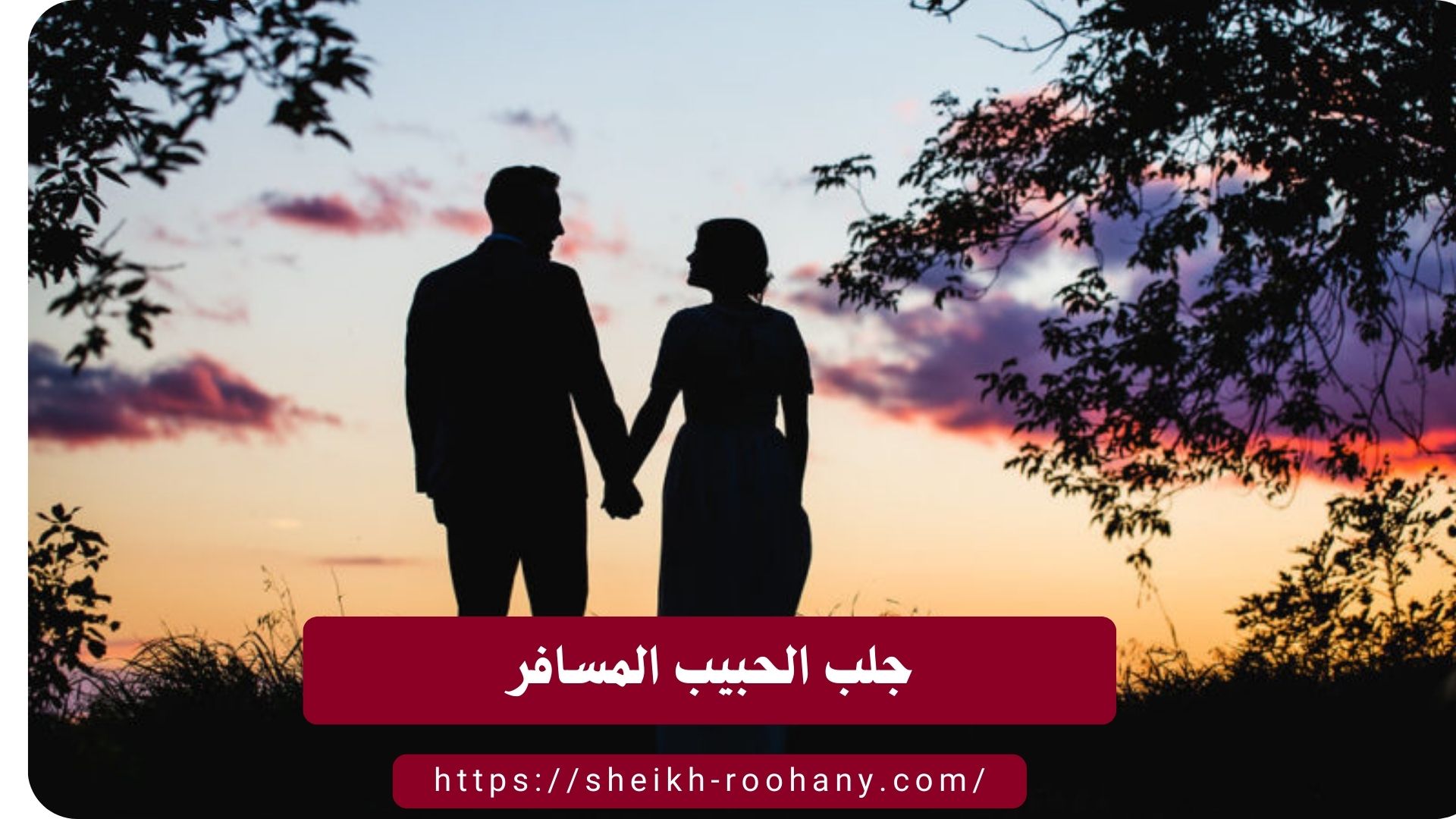 جلب الحبيب المسافر