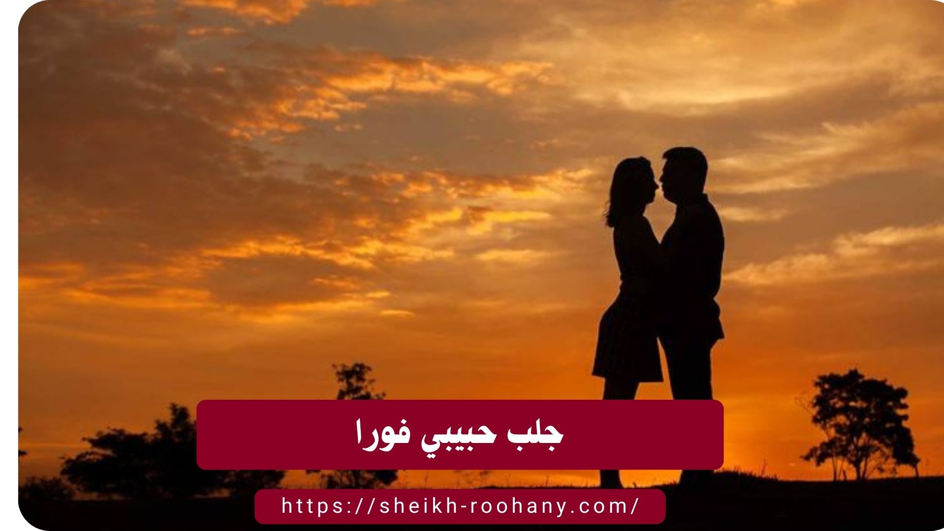 جلب حبيبي فورا