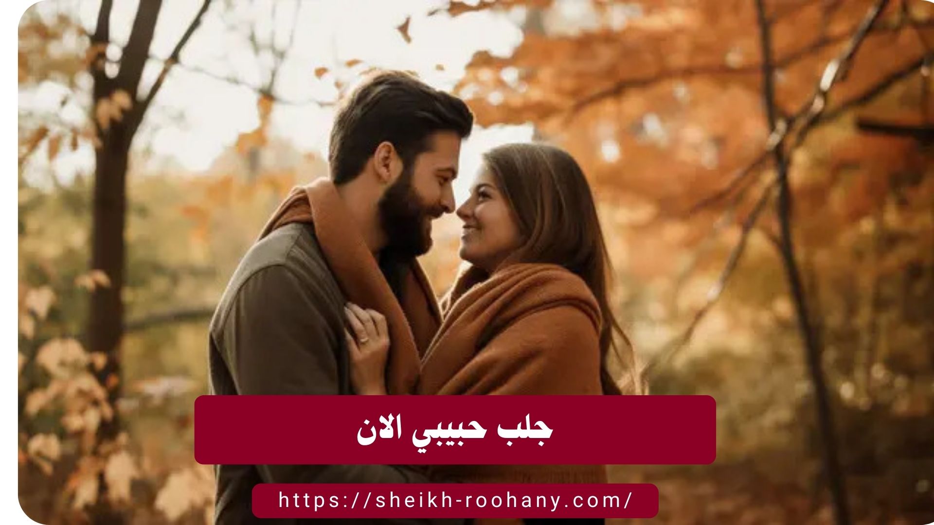 جلب حبيبي الان