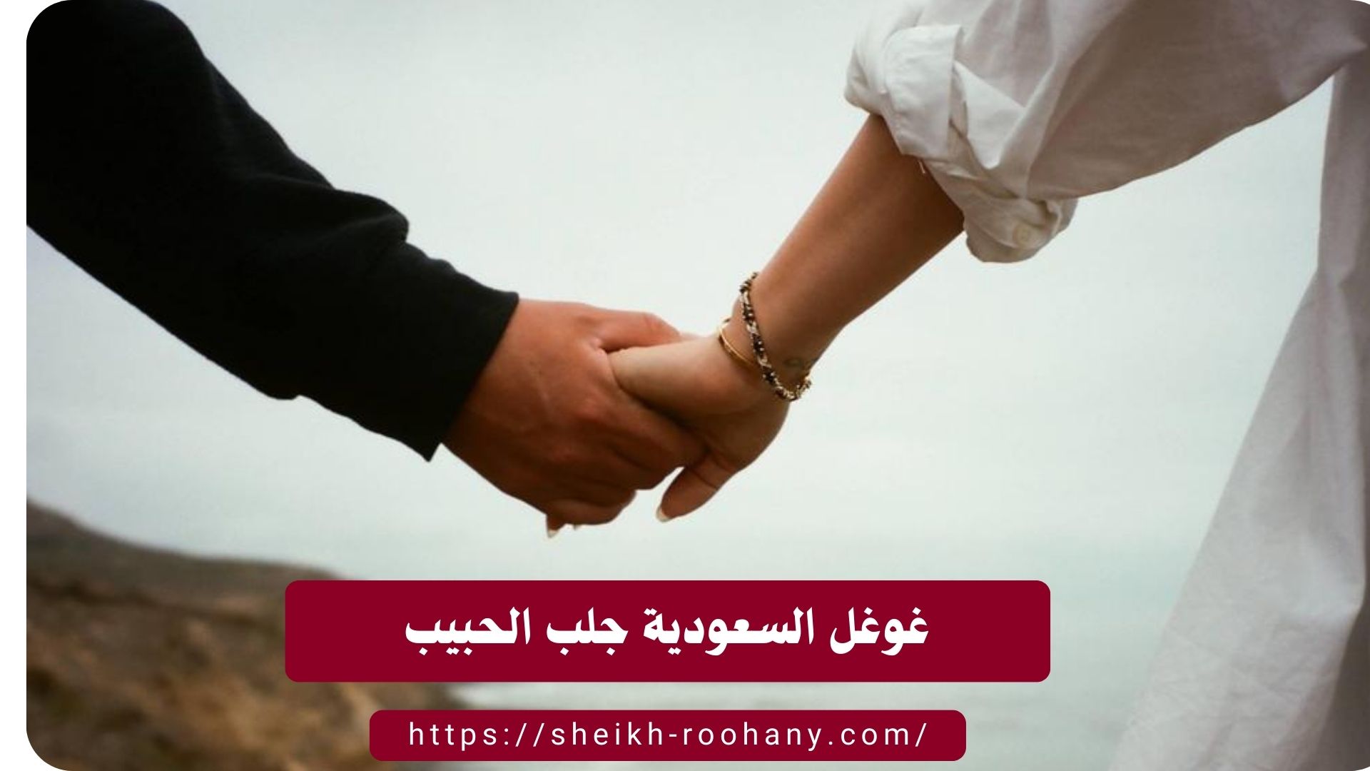 غوغل السعودية جلب الحبيب