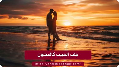 جلب الحبيب كالمجنون