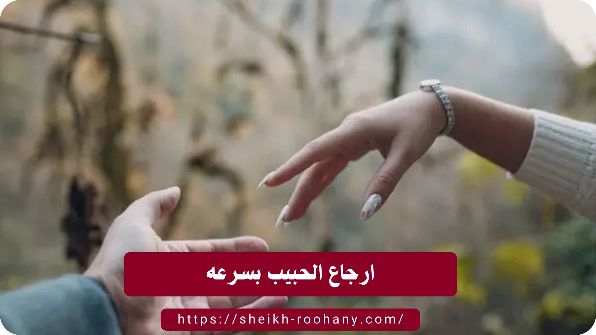 ارجاع الحبيب بسرعه