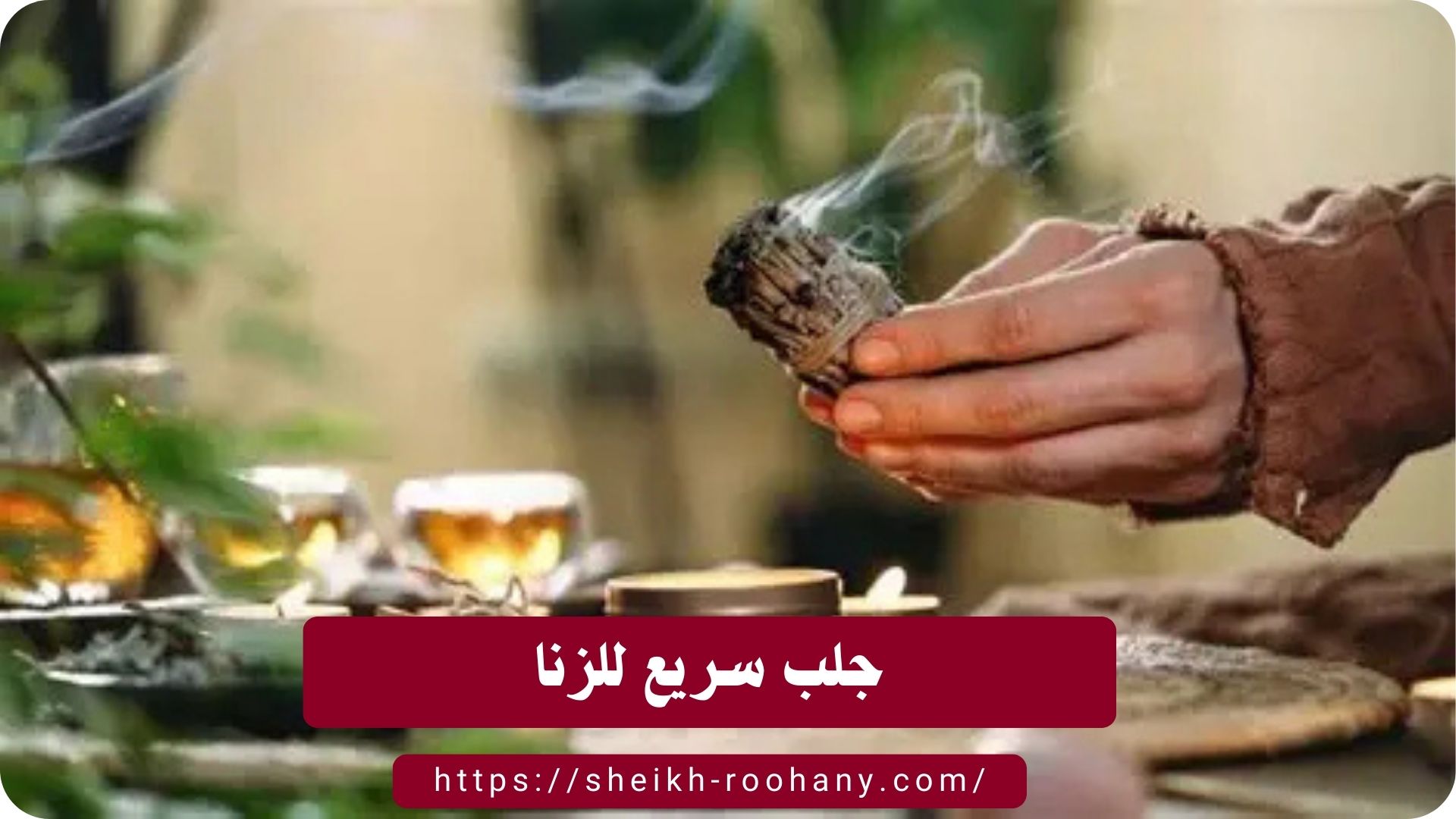 جلب سريع للزنا